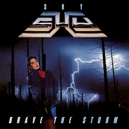 Shy/Brave The Storm