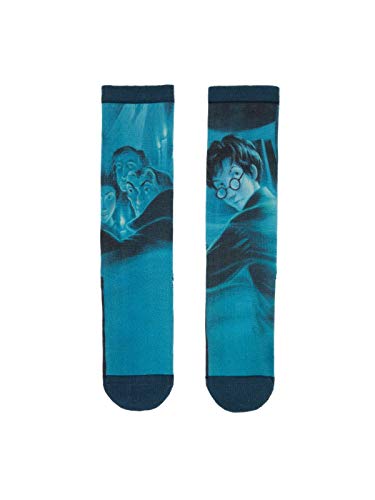 Socks/Harry Potter And The Order Of The Phoenix