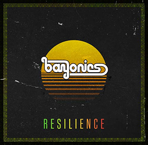 Bayonics/Resilience@.