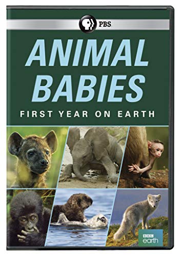 Animal Babies: First Year On Earth/PBS@DVD@NR