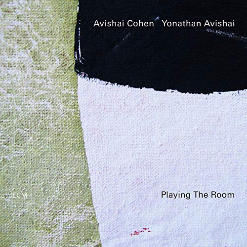Avishai Cohen/Yonathan Avishai/Playing The Room