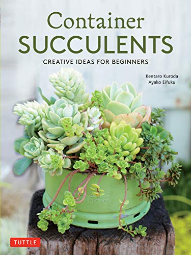 Kentaro Kuroda/Container Succulents@ Creative Ideas for Beginners