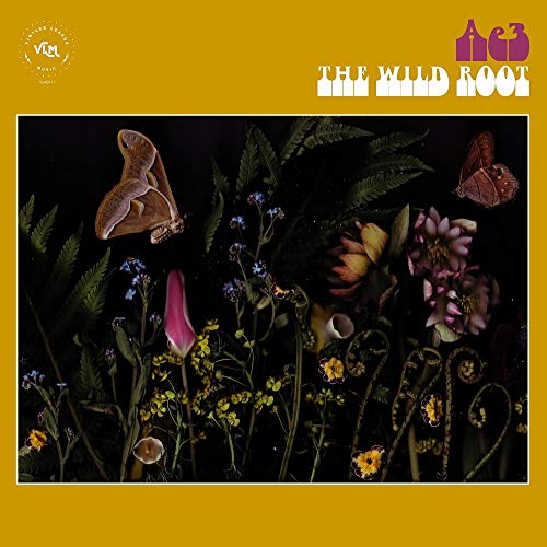 Ae3 (Alan Evans Trio)/The Wild Root@.