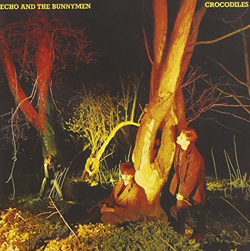 Echo & The Bunnymen Crocodiles CD R 