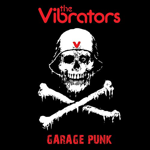 Vibrators/Garage Punk@.