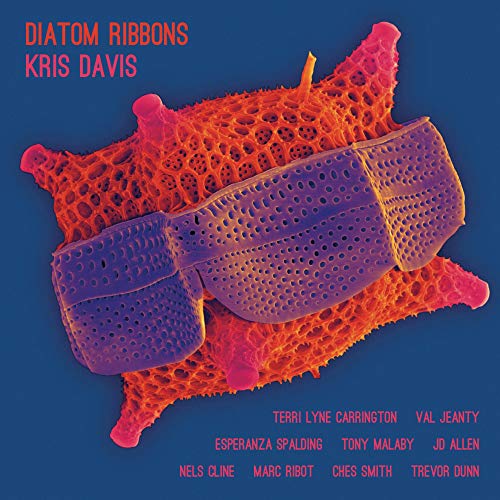 Kris Davis/Diatom Ribbons