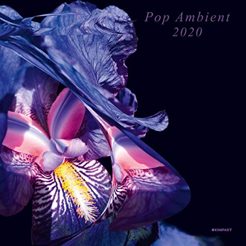 Pop Ambient 2020/Pop Ambient 2020