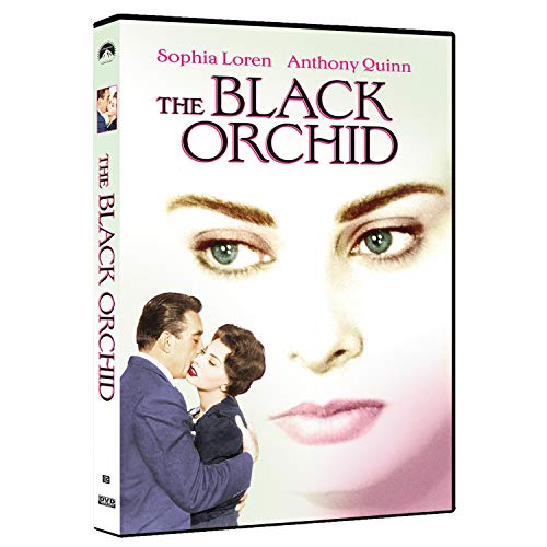 Black Orchid/Loren/Quinn/Balin@MADE ON DEMAND@This Item Is Made On Demand: Could Take 2-3 Weeks For Delivery
