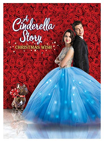 Cinderella Story: Christmas Wish/Marano/Sulkin@DVD@PG