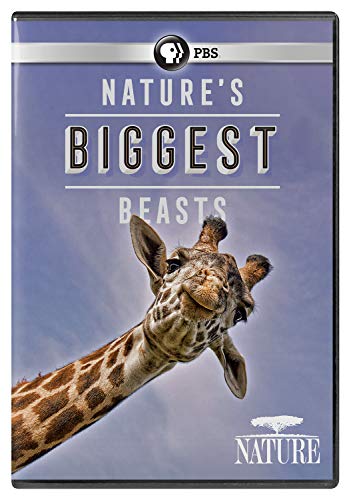 Nature/Nature's Biggest Beasts@PBS/DVD@PG