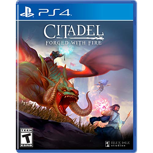 PS4/Citadel: Forged With Fire