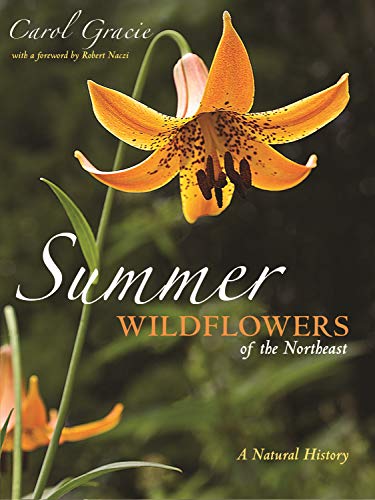 Carol Gracie Summer Wildflowers Of The Northeast A Natural History 