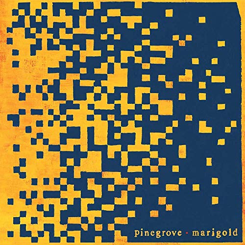 Pinegrove/Marigold@Marigold Yellow Vinyl