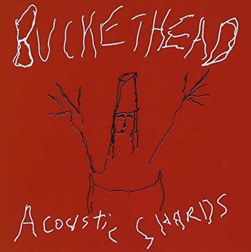 Buckethead Acoustic Shards 