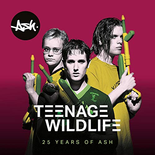 Ash/Teenage Wildlife - 25 Years of Ash