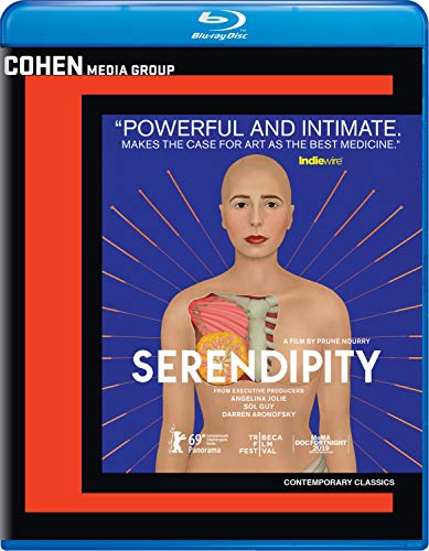 Serendipity (2019) Serendipity Blu Ray Nr 