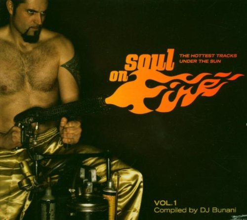 Various Artist/Soul On Fire