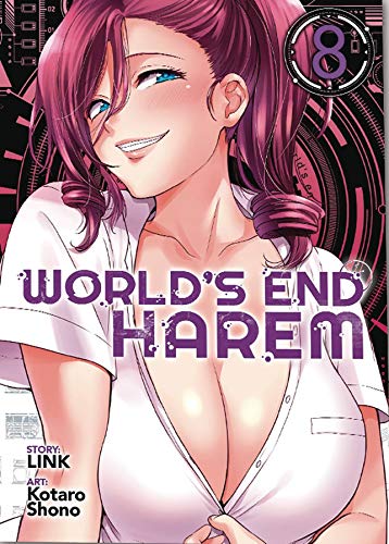 Link/World's End Harem Vol. 8