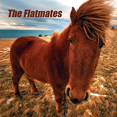 Flatmates/The Flatmates