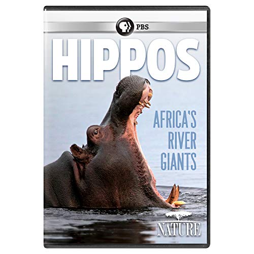 Nature/Hippos: Africa's River Giants@PBS/DVD@PG13