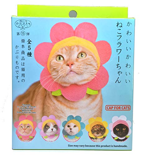 Toy/Cat Cap - Flower