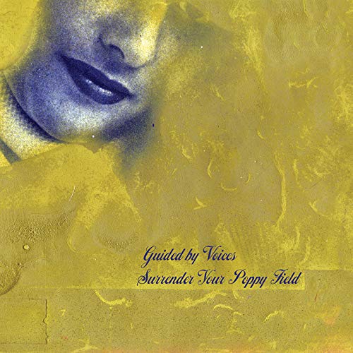 Guided By Voices/Surrender Your Poppy Field@Amped Non Exclusive
