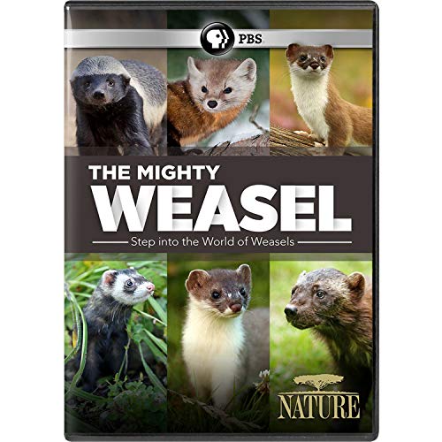 Nature/The Mighty Weasel@PBS/DVD@PG