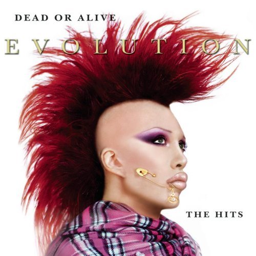 Dead Or Alive/Evolution: The Hits