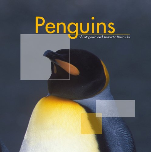 Unknown/Penguins Of Patagonia And Antarctic Peninsula