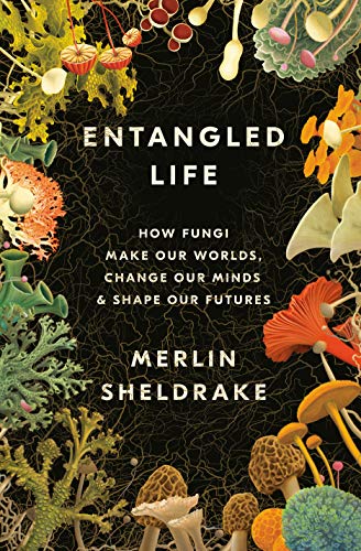 Merlin Sheldrake/Entangled Life@How Fungi Make Our Worlds, Change Our Minds, and Shape Our Futures