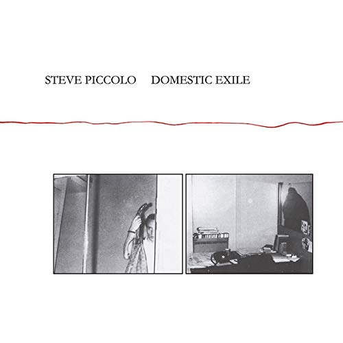 Steve Piccolo/Domestic Exile