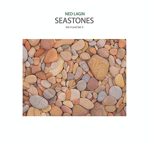 Ned Lagin/Seastones: Set 4 & Set 5@RSD Exclusive