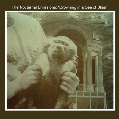 Nocturnal Emissions/Drowning in a Sea of Bliss