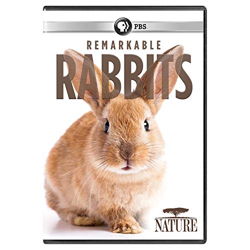 Nature: Remarkable Rabbits/Nature: Remarkable Rabbits