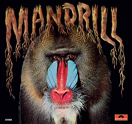 Mandrill/Mandrill