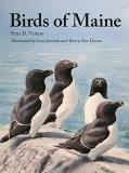 Peter Vickery Birds Of Maine 