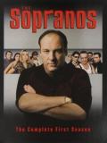 Sopranos Season 1 DVD Nr 