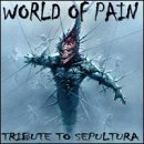 World Of Pain/World Of Pain@Pain Corporation/Crematorium@T/T Sepultura