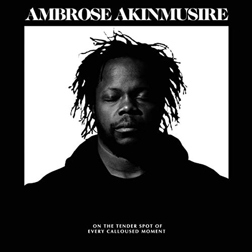 Ambrose Akinmusire/on the tender spot of every calloused momen