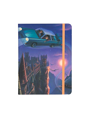 JOURNAL/Harry Potter - Flying Car