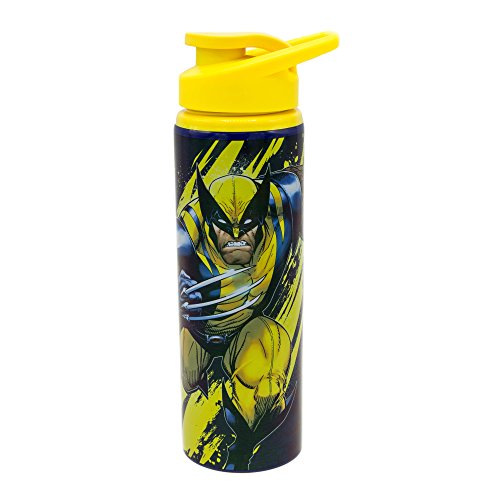 Water Bottle - Stainless/Wolverine