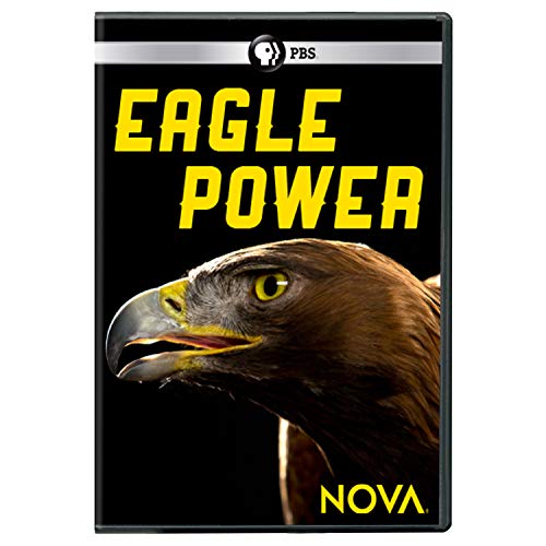 Nova/Eagle Power@DVD@NR