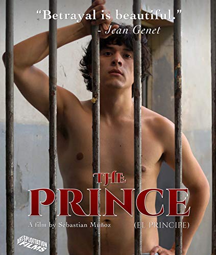 Prince (2019)/Prince (2019)@Blu-Ray@NR