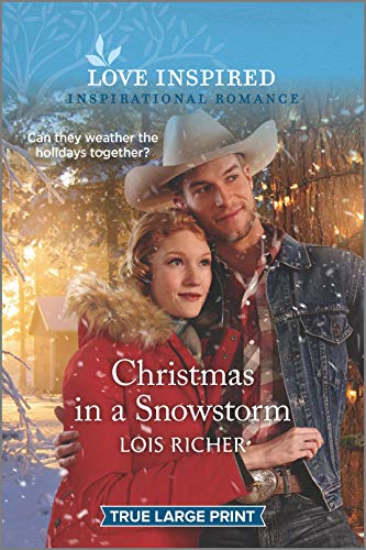 Lois Richer/Christmas in a Snowstorm@LARGE PRINT