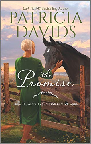 Patricia Davids/The Promise@ A Clean & Wholesome Romance@Original