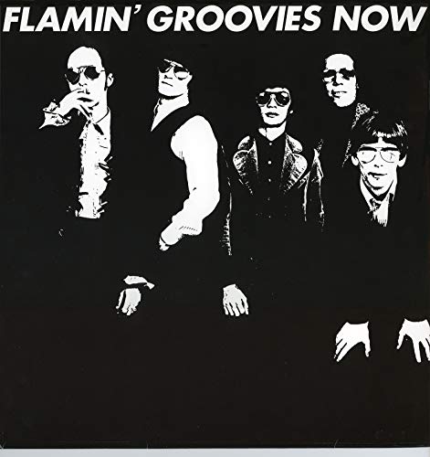 Flamin' Groovies/Now