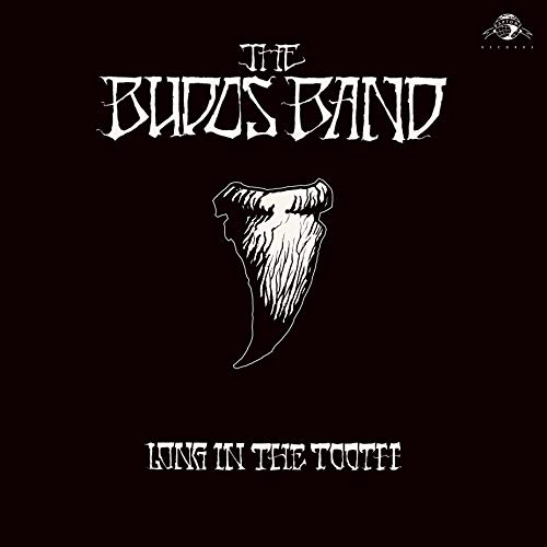 The Budos Band Long In The Tooth 