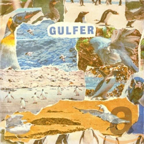 Gulfer Gulfer 