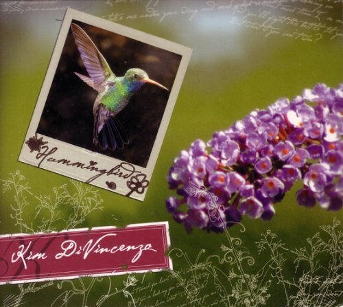 Kim Divine/Hummingbird