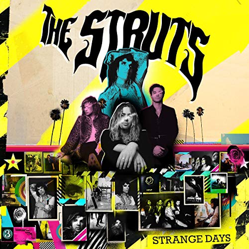 The Struts/Strange Days